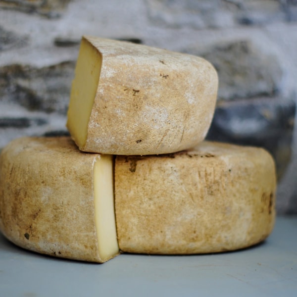 Fermentieren & Milchverarbeitung