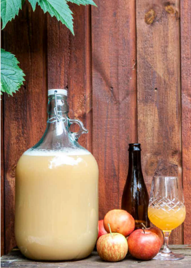 Cider og frugtvin (dänischsprachiges Buch) – Mikrobrauen und Rezepte für den Hausgebrauch (André Spange Nabulsi)