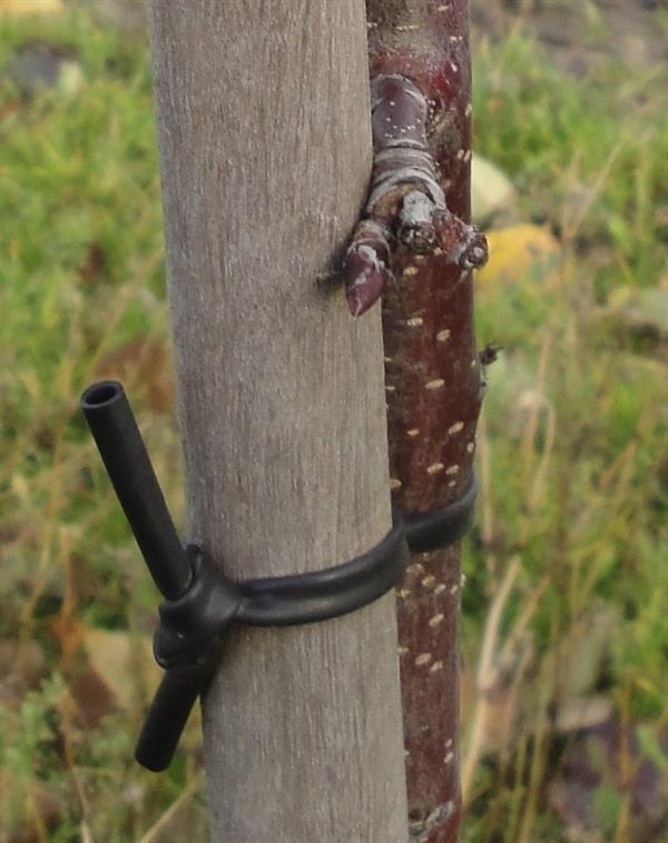Anbindeband, 4 mm schwarzer Gummischlauch, 10 m