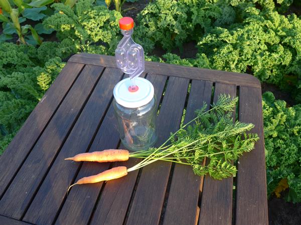 Fermentierglas, 1 Liter – komplett mit Schraubdeckel mit Tülle und Gärröhrchen