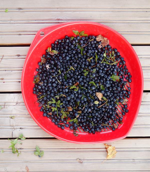 Beeren-Reinigungssieb mit Trichter, Marjukka, rot